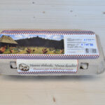 Jaja iz slobodnog uzgoja 10/1